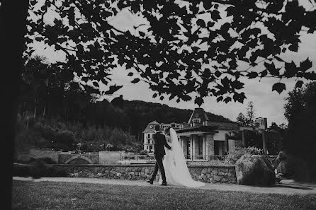 Fotógrafo de bodas Sergio Mazurini (mazur). Foto del 7 de julio 2016