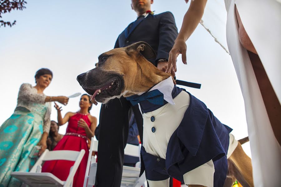 Fotógrafo de bodas Antonio María López Prieto (antoniolopez). Foto del 6 de junio 2019