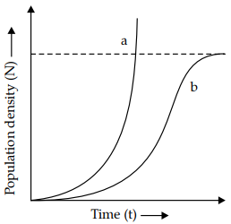 Population Growth