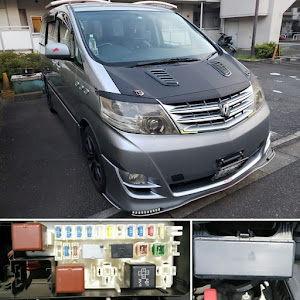 アルファードV ANH10W