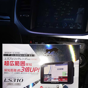 300 LX36