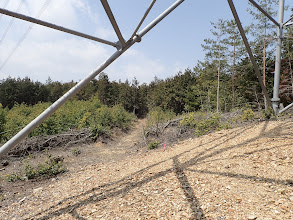 北西に巡視路が