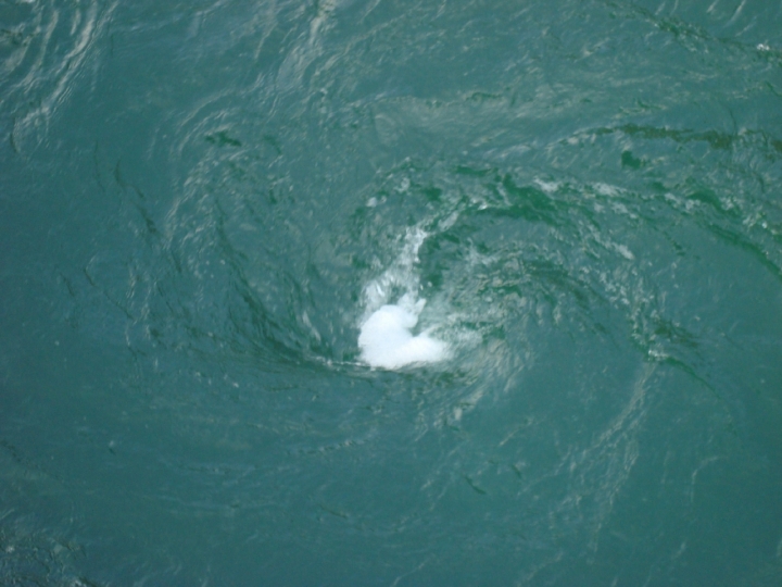 La forza dell'acqua di giove