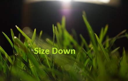 sizedown small promo image