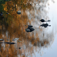 ...i colori dell' autunno di 