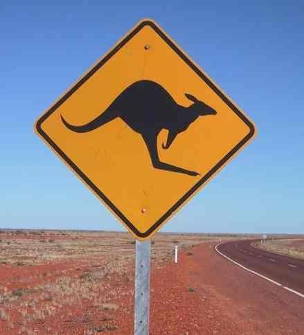 A road sign with an image of a kangaroo.