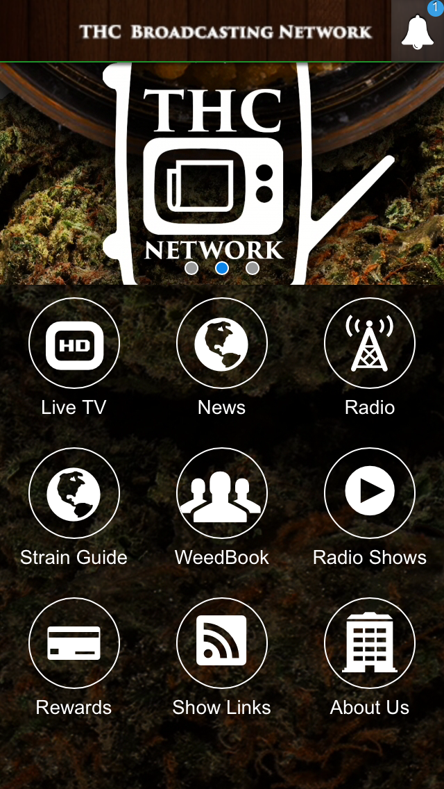 THC Network HD Screen 2