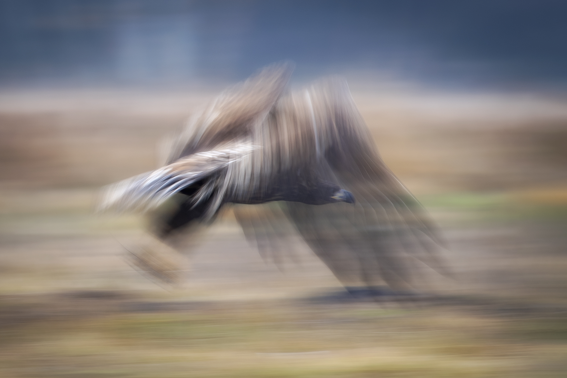 Slow motion di Mauro Rossi