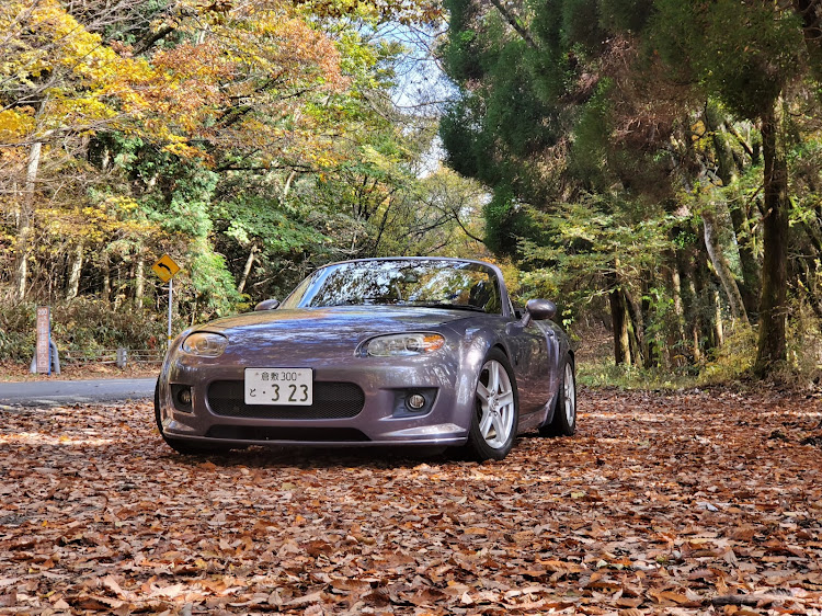 ロードスターの左斜め前写真展・仕事ばっかり・お尻特集もやってくださいよに関するカスタム事例の投稿画像1枚目