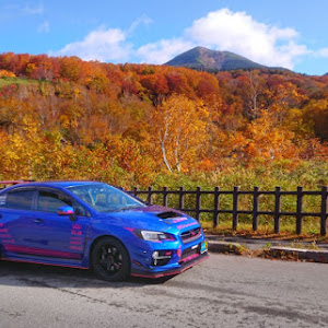 WRX STI VAB