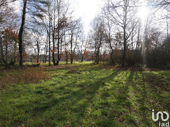 terrain à Neung-sur-Beuvron (41)