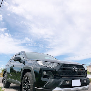 RAV4 MXAA54