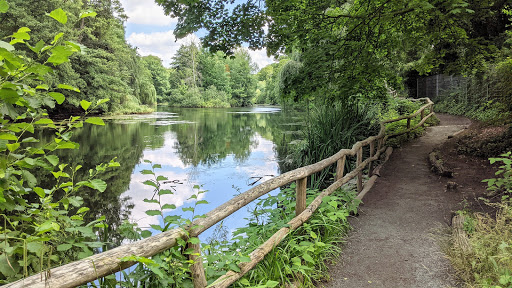 Eine Se(h)etour von Halensee nach Wilmersdorf in Berlin