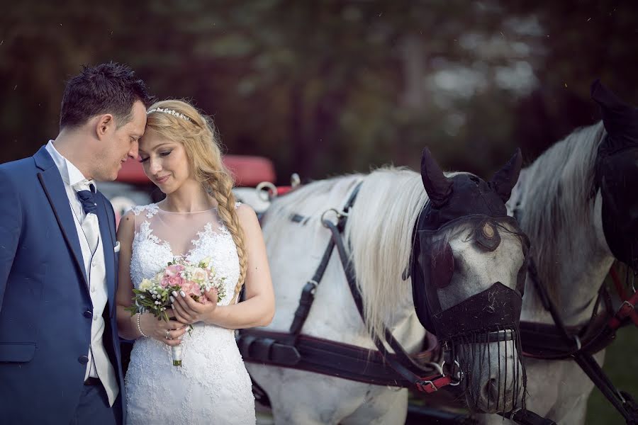 Fotografo di matrimoni Svetlana Alinova (fotobox). Foto del 9 agosto 2018