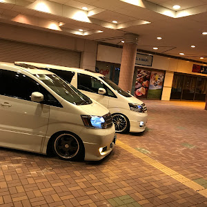 アルファード ATH10W
