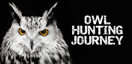 Owl Hunting Journey