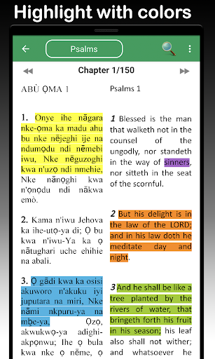 Screenshot Igbo Bible - Igbo & English