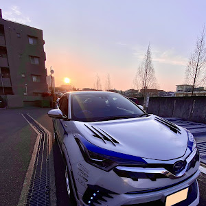 C-HR ZYX10