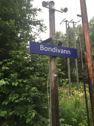 Bondivann Togstasjon