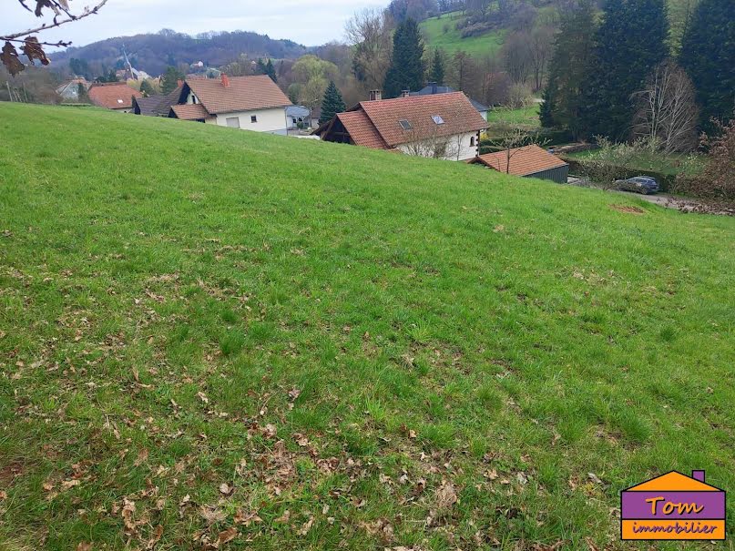 Vente terrain à batir  980 m² à Walschbronn (57720), 37 000 €