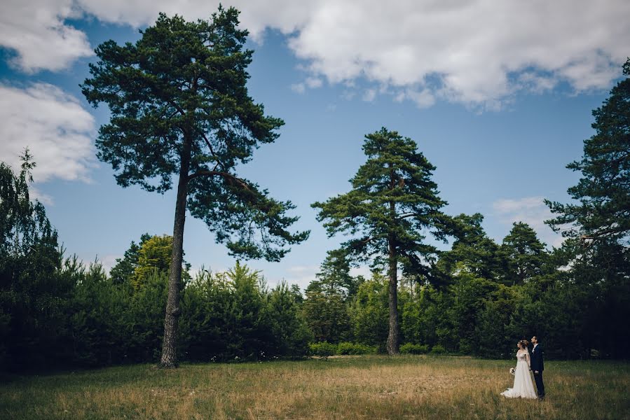 Wedding photographer Aleksandr Mann (mokkione). Photo of 24 September 2017