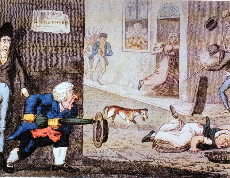 A 19th century cartoon shows panicked Londoners confronted by a rabid dog in the streets.