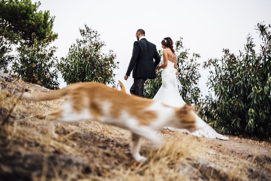 Fotografo di matrimoni Andrea Trimarchi (andreatrimarchi). Foto del 1 luglio 2017