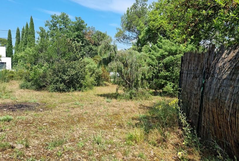  Vente Terrain + Maison - Terrain : 667m² - Maison : 83m² à Le Cannet-des-Maures (83340) 