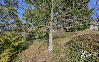 terrain à Saint-Martin-en-Haut (69)