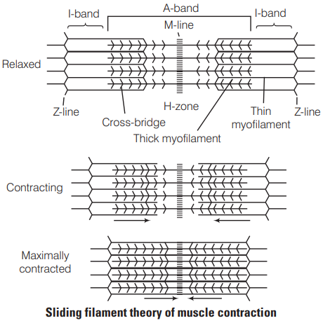 Solution Image