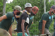 David Solomon worked at the Seaview Predator Park for 15 years. 