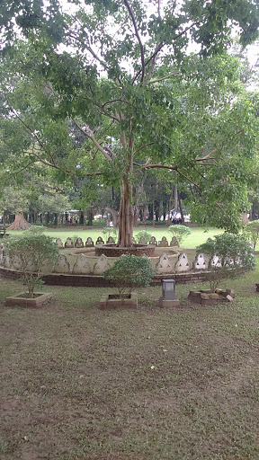 Two Buddhas Near the Tree