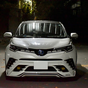 C-HR ZYX10