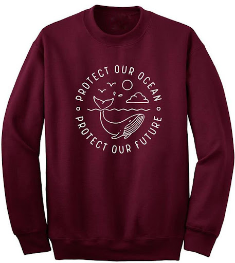 Title 4, Protect Our Ocean Protect Our Future hoodie