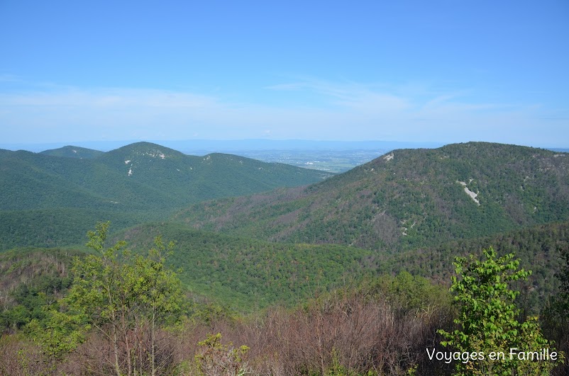 skyline drive shenandoah