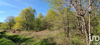 terrain à Pruniers-en-Sologne (41)