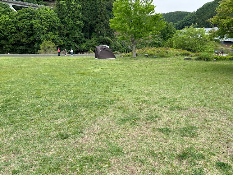 カムリのケロケロちゃいむに関するカスタム事例の投稿画像3枚目