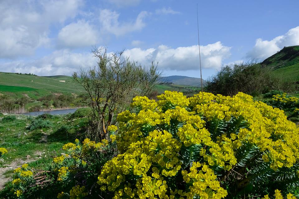 primavera la finestra dei colori di Giuseppe.B