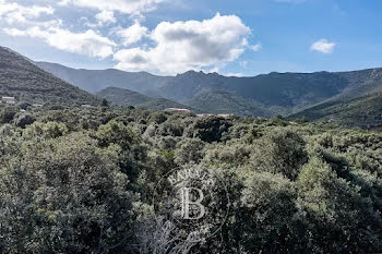 terrain à batir à Calvi (2B)