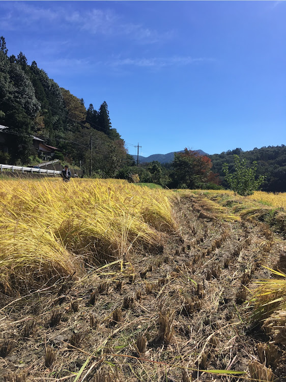 サンバートラックのt村(◜ᴗ◝ )さんが投稿したカスタム事例の投稿画像3枚目