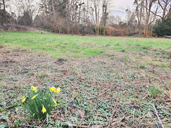 terrain à Montigny-sur-Loing (77)