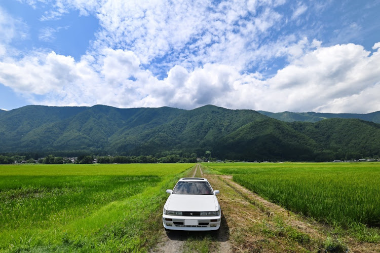 の投稿画像1枚目