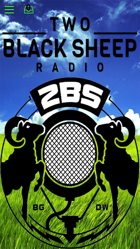 2 BS Radio